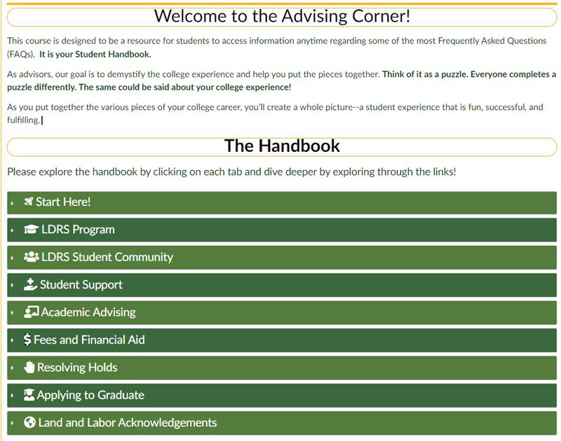 Leadership Studies Advising Corner screenshot