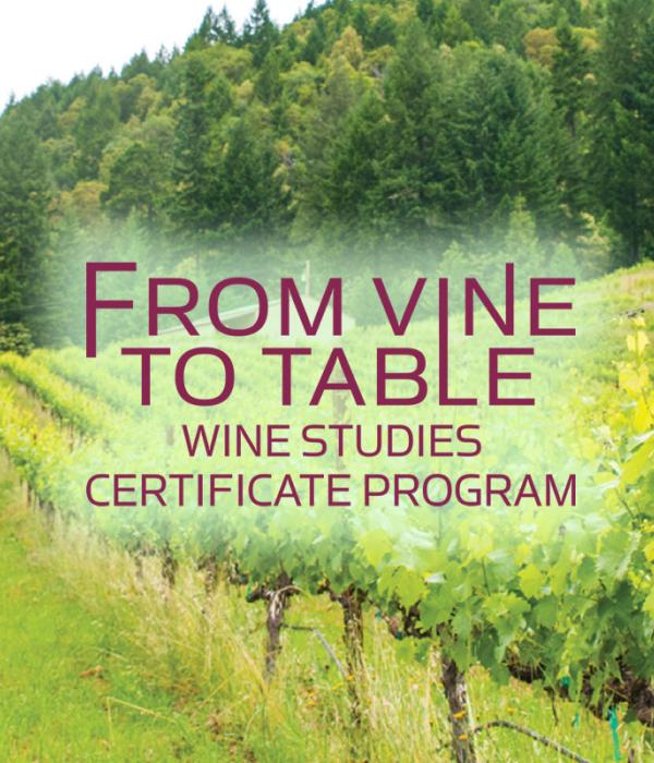 From Vine to Table Wine Studies Certificate Program