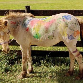 Therapy pony with painted designs and handprints on its back