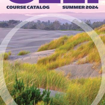 Cover of Summer 2024 OLLI Catalog depicting the Ma-le'l Dunes