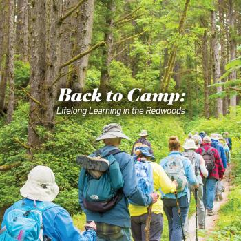 Back to Camp: Lifelong Learning in the Redwoods