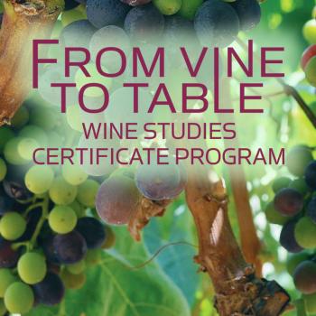 From Vine to Table Wine Studies Certificate Program