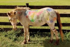 Therapy pony with painted designs and handprints on its back