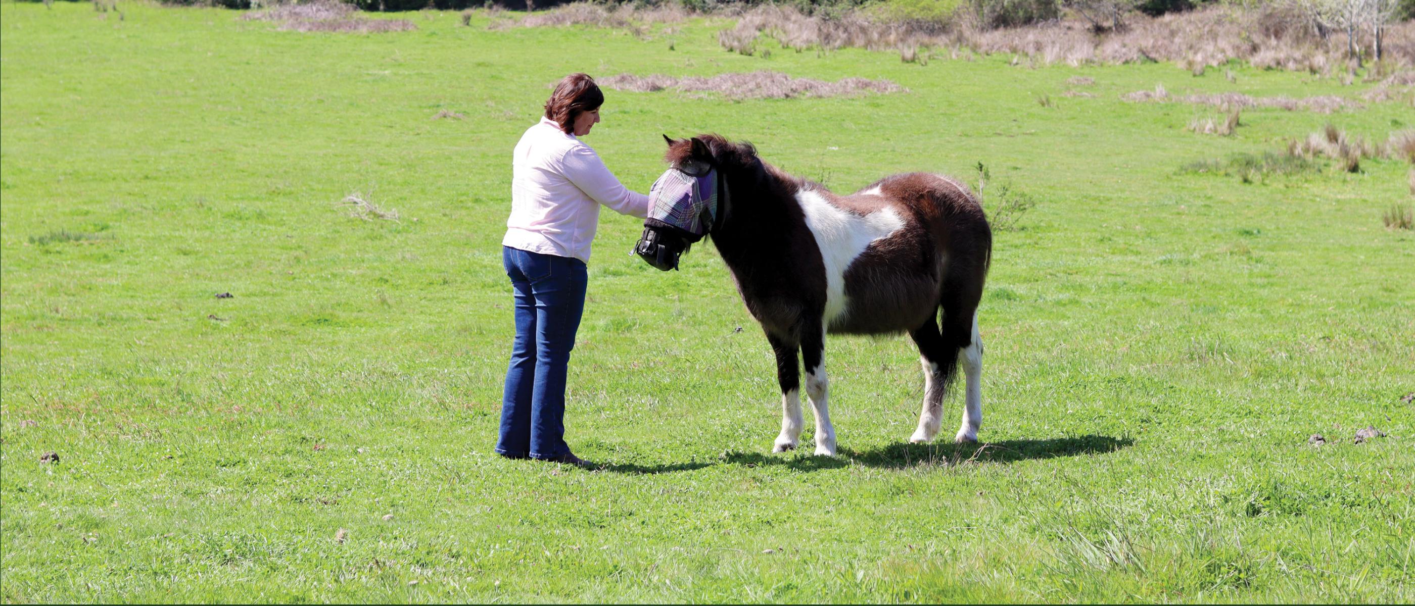 Woman interacting with equine therapy pony