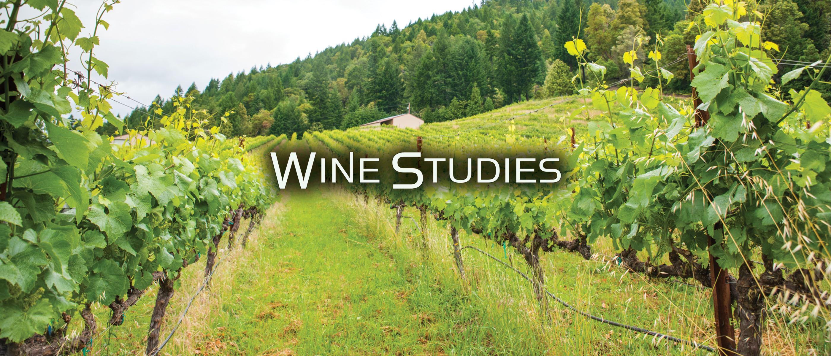 Wine Studies