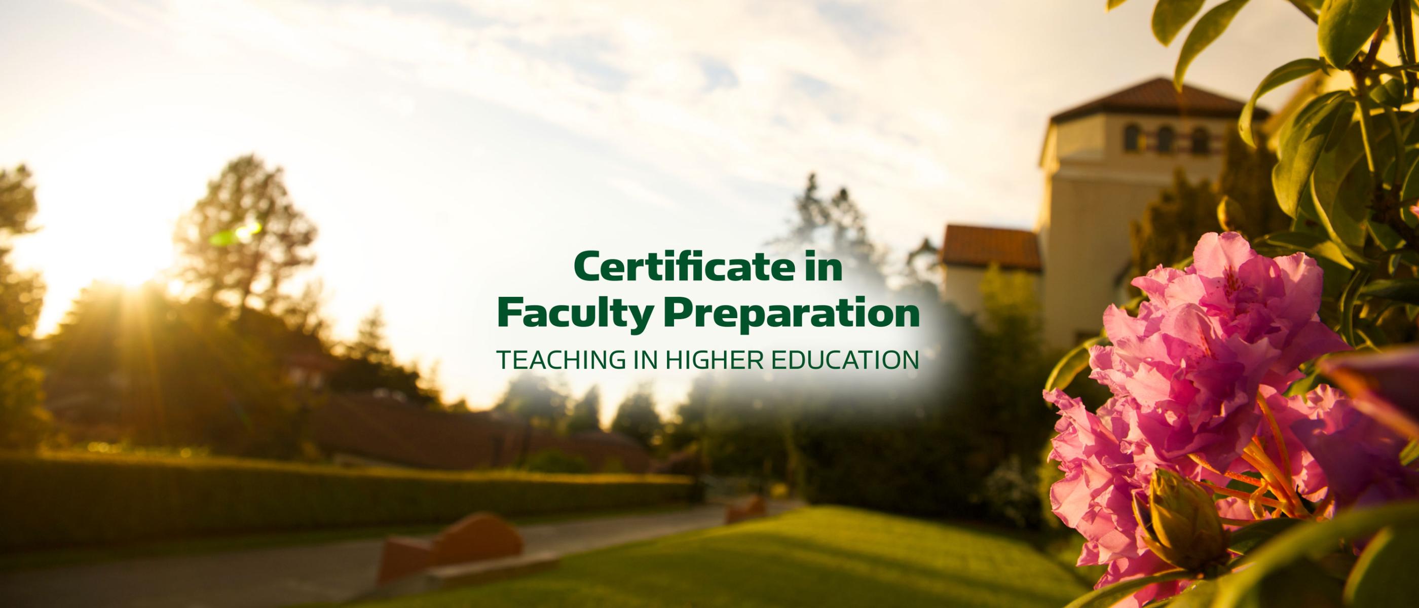 Online Certificate in Faculty Preparation: Teaching in Higher Education