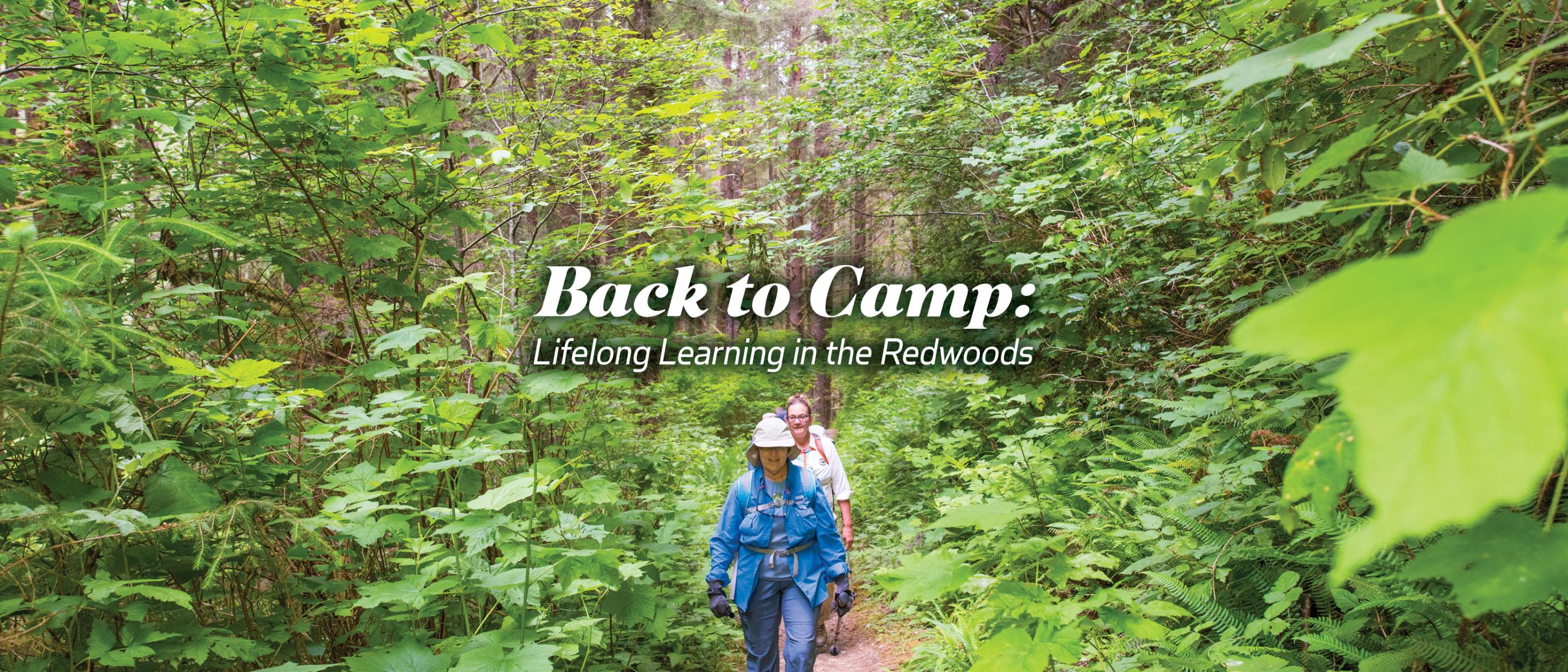 Back to Camp: Lifelong Learning in the Redwoods - image of hikers in forest