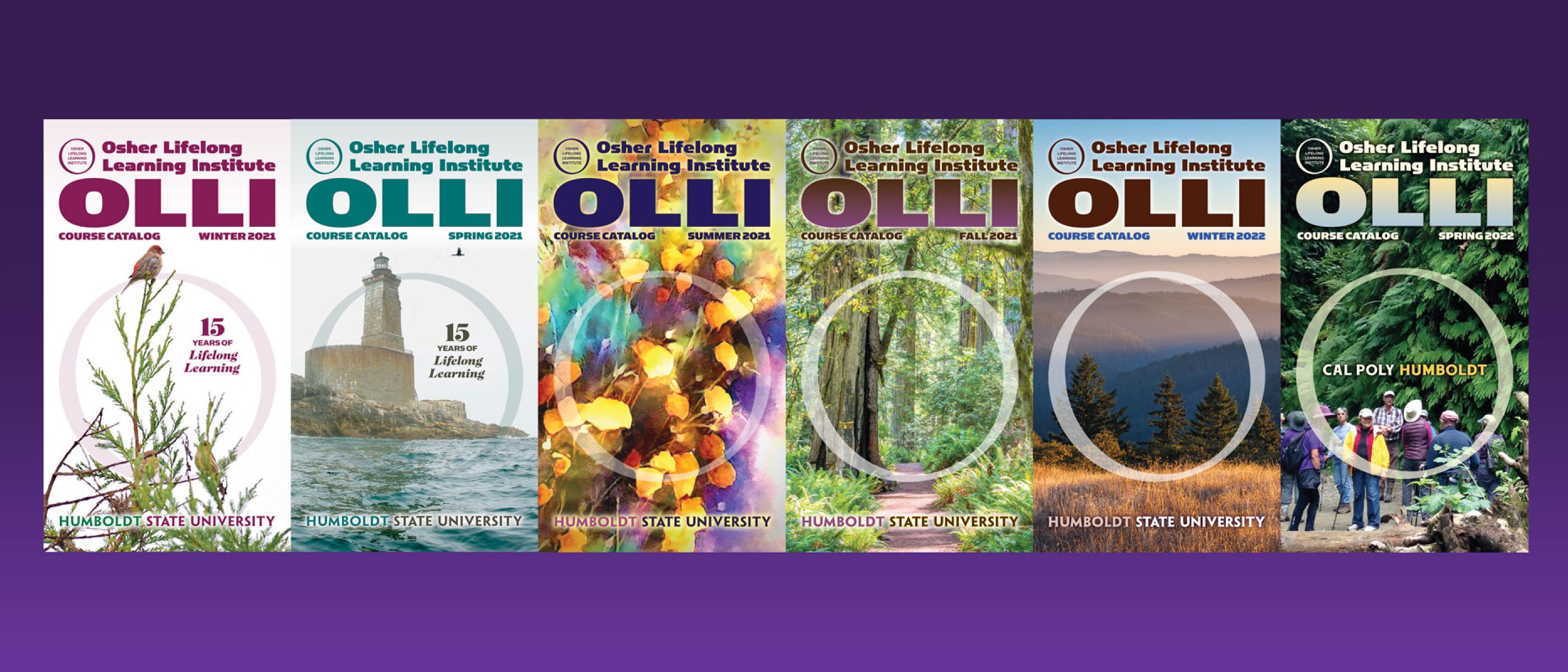 Covers of OLLI course catalogs