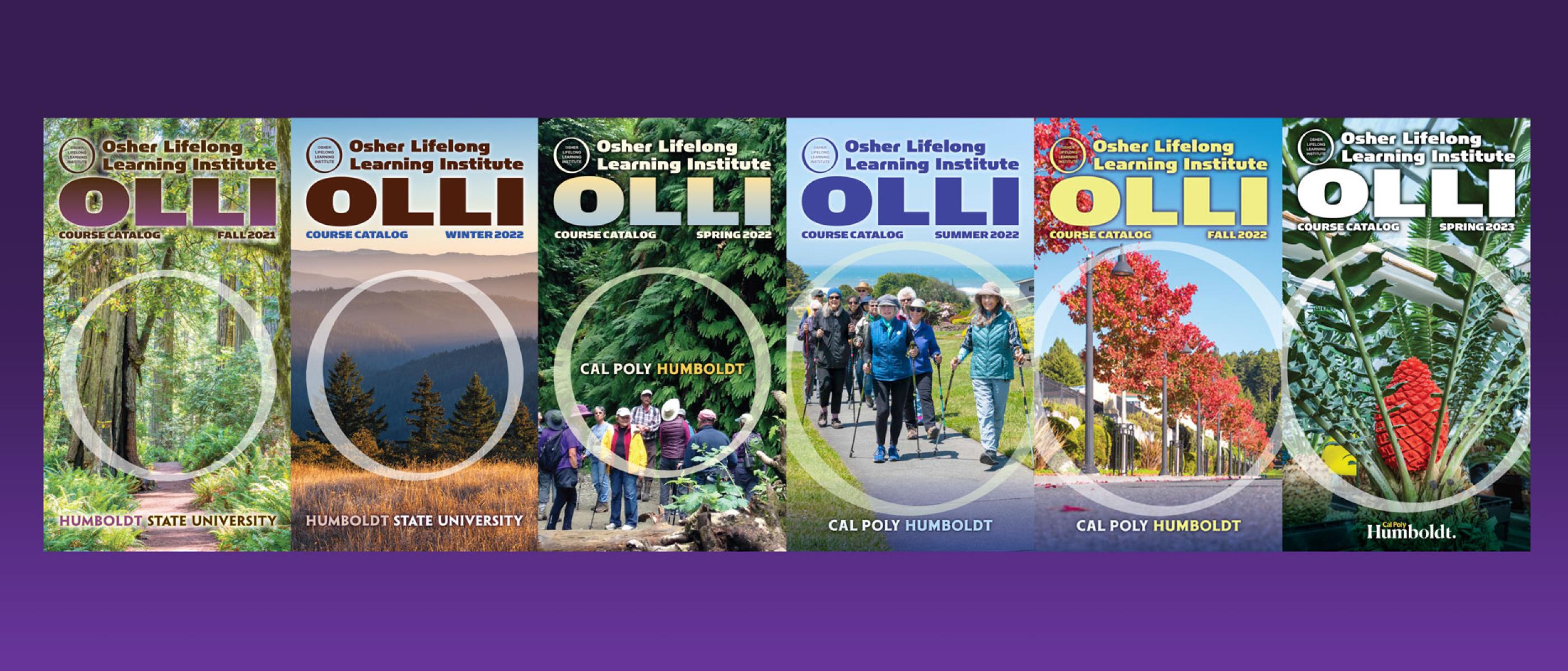 OLLI catalog covers from the last 2 years