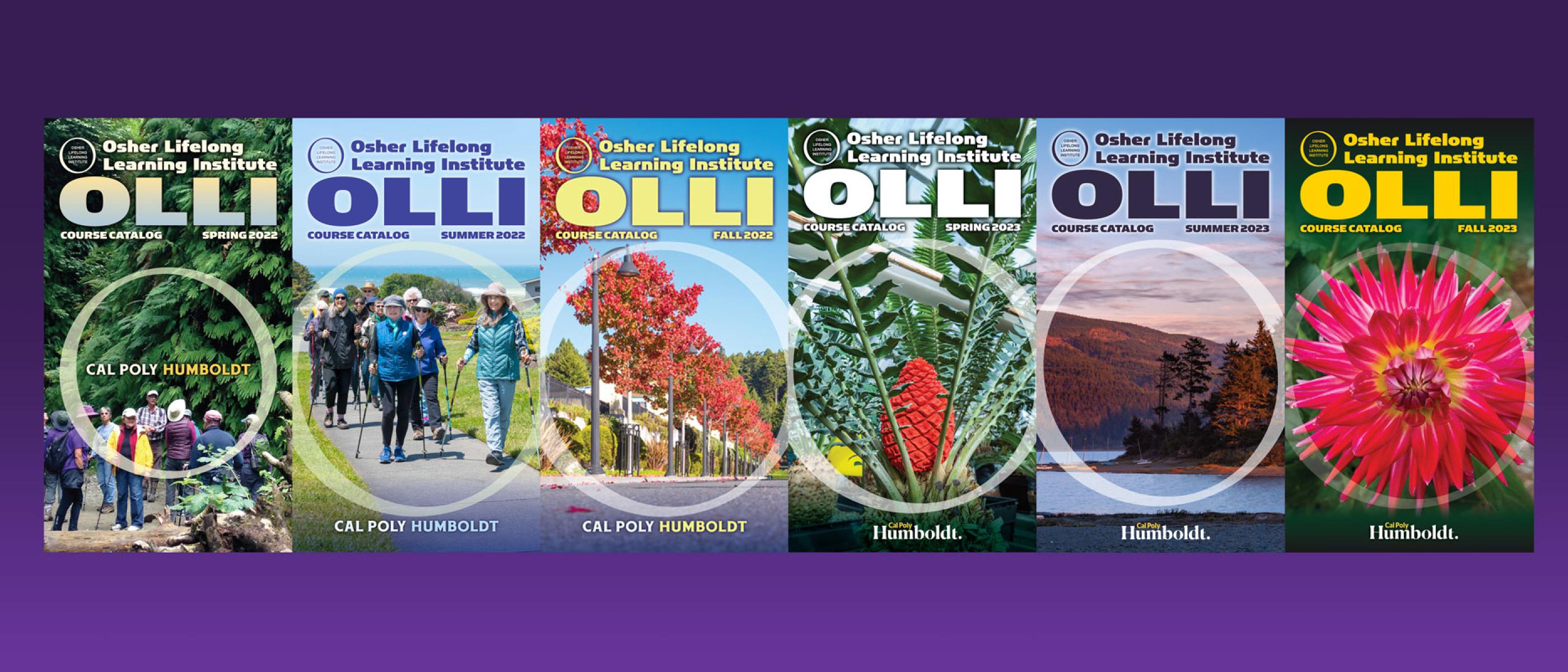 Covers of OLLI course catalogs