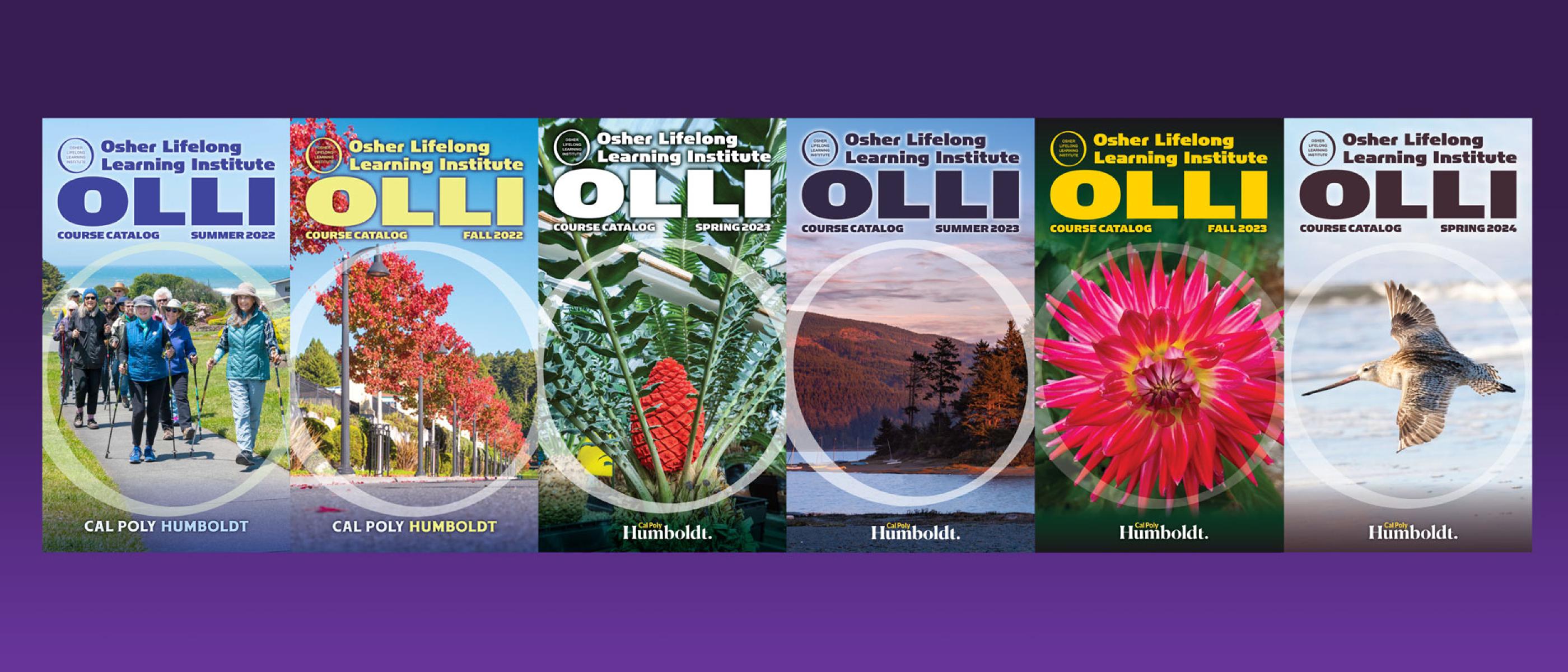 Covers of OLLI course catalogs over the past year