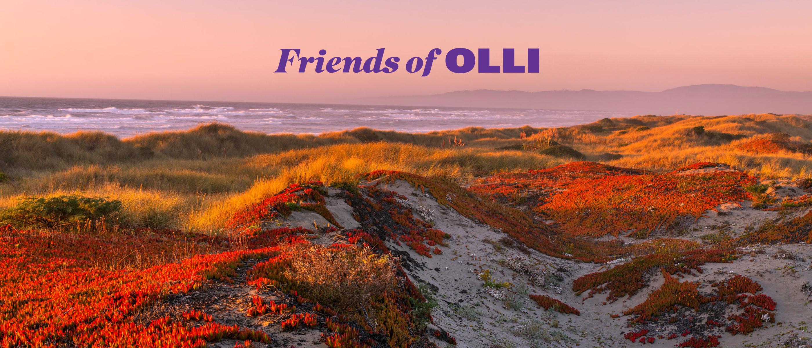 Friends of OLLI