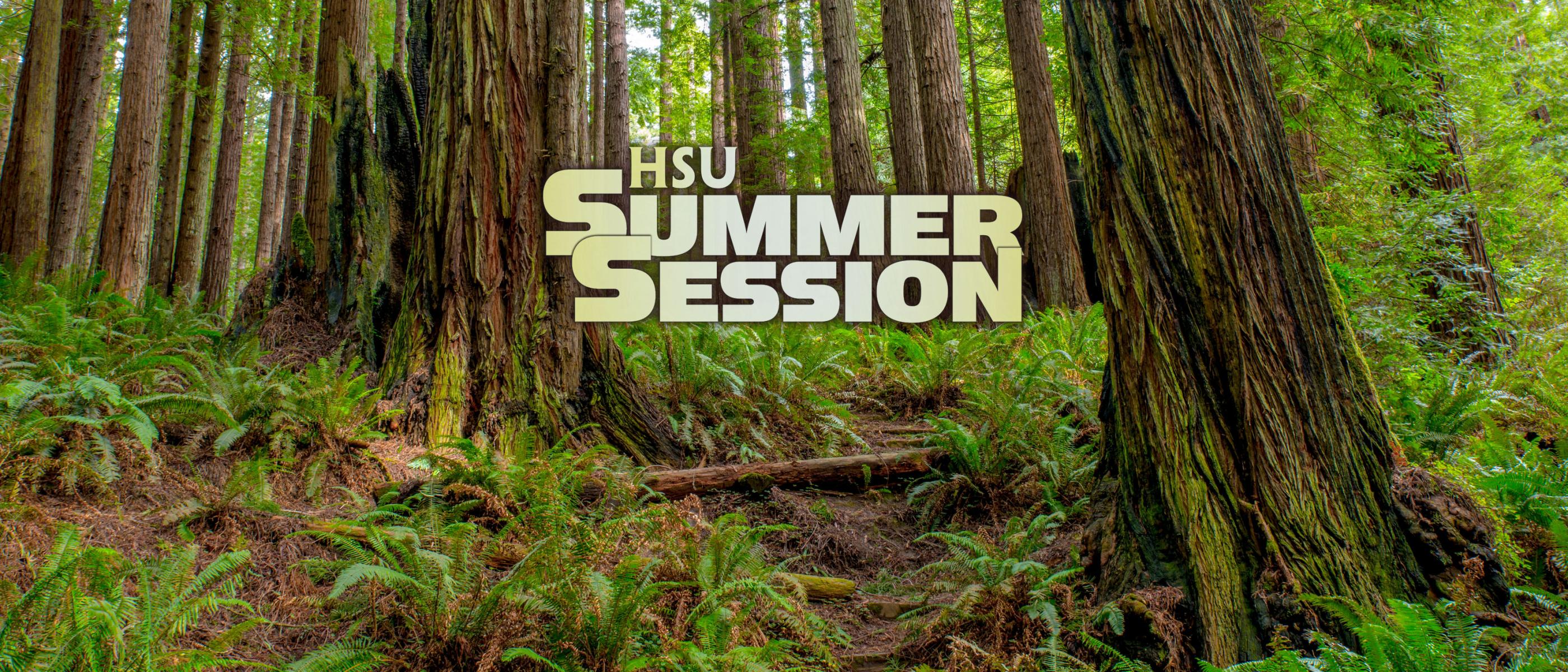 HSU Summer Class Schedule | College of Extended Education & Global Engagement at Humboldt State