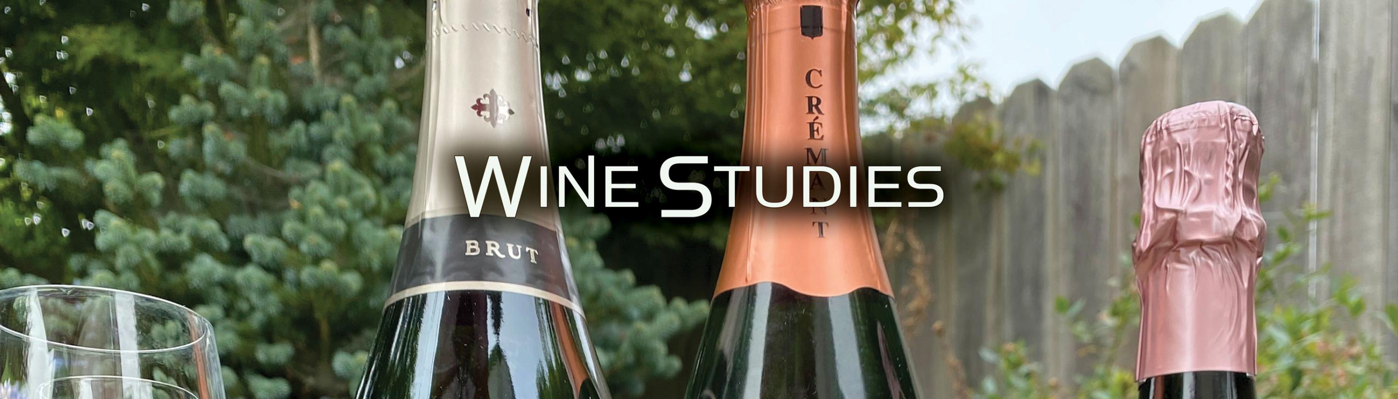 Wine Studies: Sparkling Wines