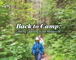 Back to Camp: Lifelong Learning in the Redwoods - image of hikers in forest