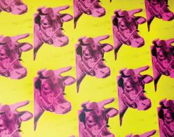 Cow Wall in Andy Warhol exhibit