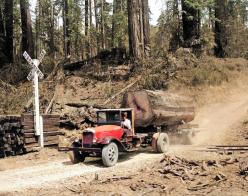 Southeast Humboldt Hinterlands: old logging truck