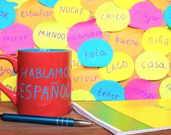 Spanish language